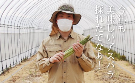 《令和8年産》飛騨のごちそうアスパラガス L-2L 1.0kg アスパラガス [B0200] syun78 