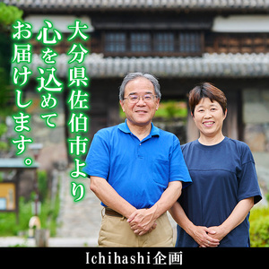 手作り！さといもコロッケ(10個) コロッケ さといも 里芋 さと芋 卵不使用 肉不使用 手作り 揚げるだけ 惣菜 おかず お弁当 大分県 佐伯市【GN004】【Ichihashi企画】