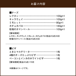 厳選チーズセットとチーズ工房のピザ3種詰め合わせ　厳選 チーズ セット チーズ工房 ミルク 100% 使用 ピザ 3種 詰め合わせ 高品質 新鮮 オリジナル ナチュラルチーズ 自家製 レクタン キャラウェイ ミモレット カチョカバロ 牧場のカマンベール おつまみ 料理 パーティー お取り寄せ 北海道 浜中町 送料無料_H0003-100