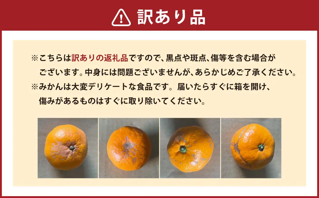 【規格外品】 みかん ご家庭用 15kg サイズ不選別 家庭用 不揃い サイズ不選別 訳あり 蜜柑 ミカン フルーツ 果物 柑橘 熊本産 九州産【2026年10月下旬～2027年2月下旬発送予定】