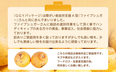 【規格外品】不知火 (デコポンと同品種) ご家庭用 10kg サイズ不選別 しらぬい みかん 果物 くだもの フルーツ 【2027年1月下旬～3月下旬迄発送予定】