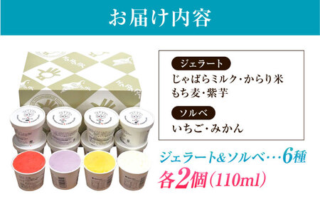 ジェラート&ソルベ 12個 BKAD090