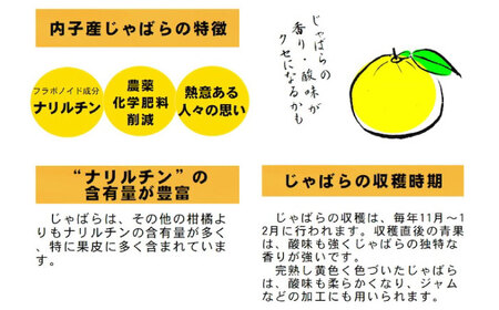 じゃばらサイダー 250ml×6本 BKAD019