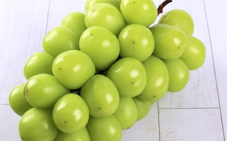 シャインマスカット 2房 bloom leaf シャインマスカット BKBI001