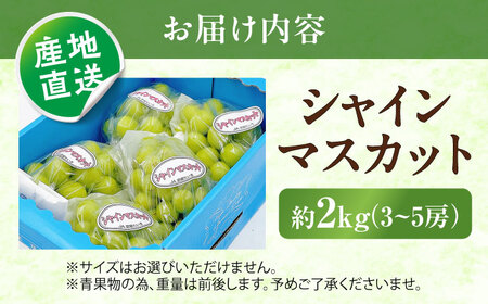 【先行予約】シャインマスカット 秀品 3房から5房 約2kg BKAY005