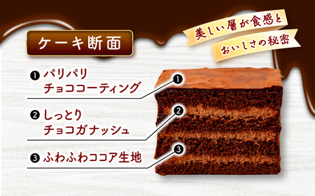 チョコレート ケーキ 1個  CAM056 チョコレーケーキ 9000円
