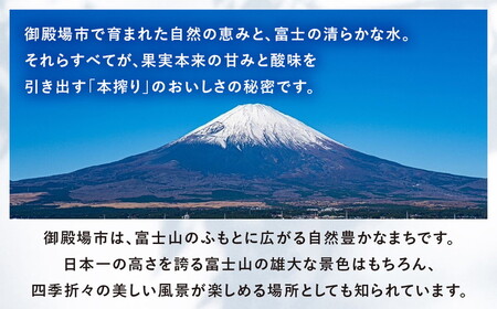 キリン チューハイ 本搾り レモン 350ml 1ケース（24本）◇