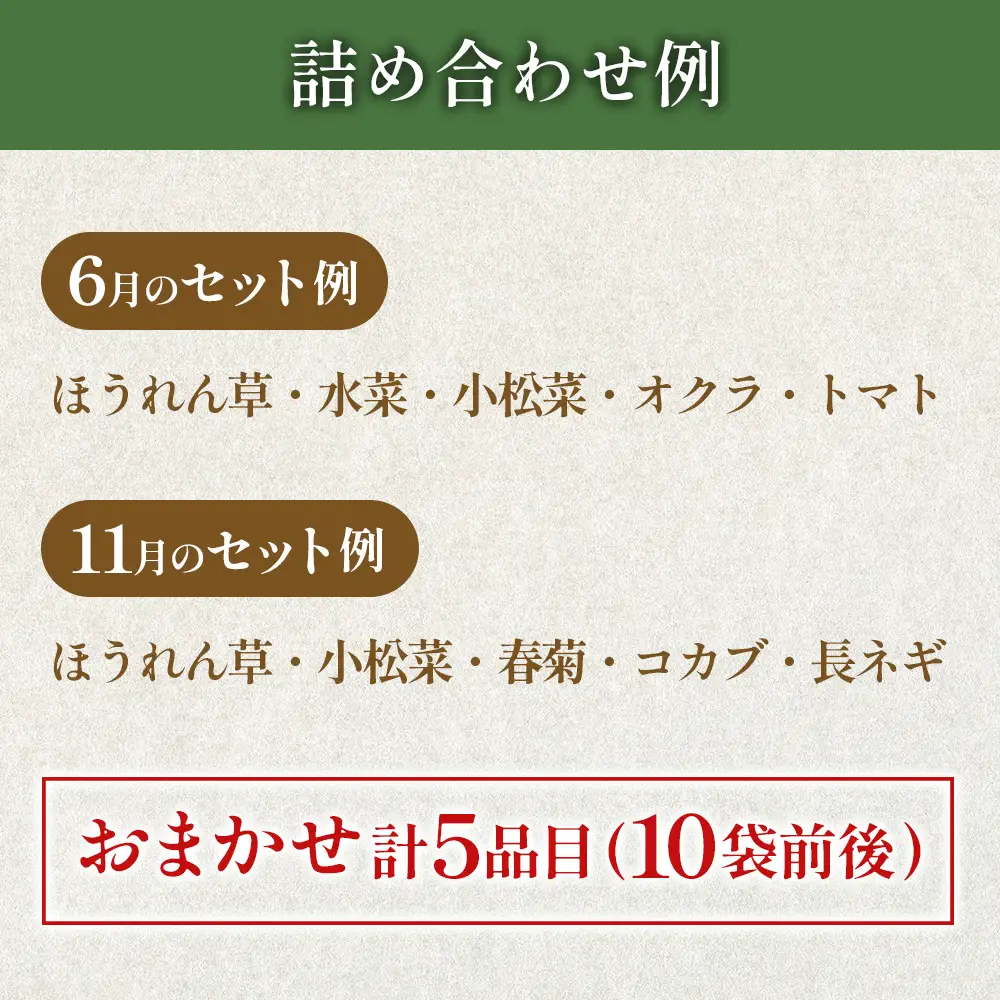 農家直送！栄ファームのお野菜セット SA091_006