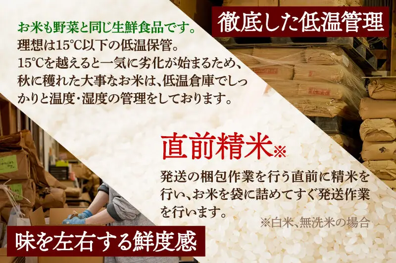 《定期便5ヶ月》令和7年産 【白米】通算5回特A 秋田県産ひとめぼれ 10kg(5kg×2袋)×5回 お届け周期調整 隔月に調整OK お米 米 こめ 藤岡農産