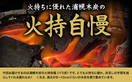 北海道産 木炭 5kg 火持ち自慢 バラ炭 キャンプ BBQ 浦幌木炭