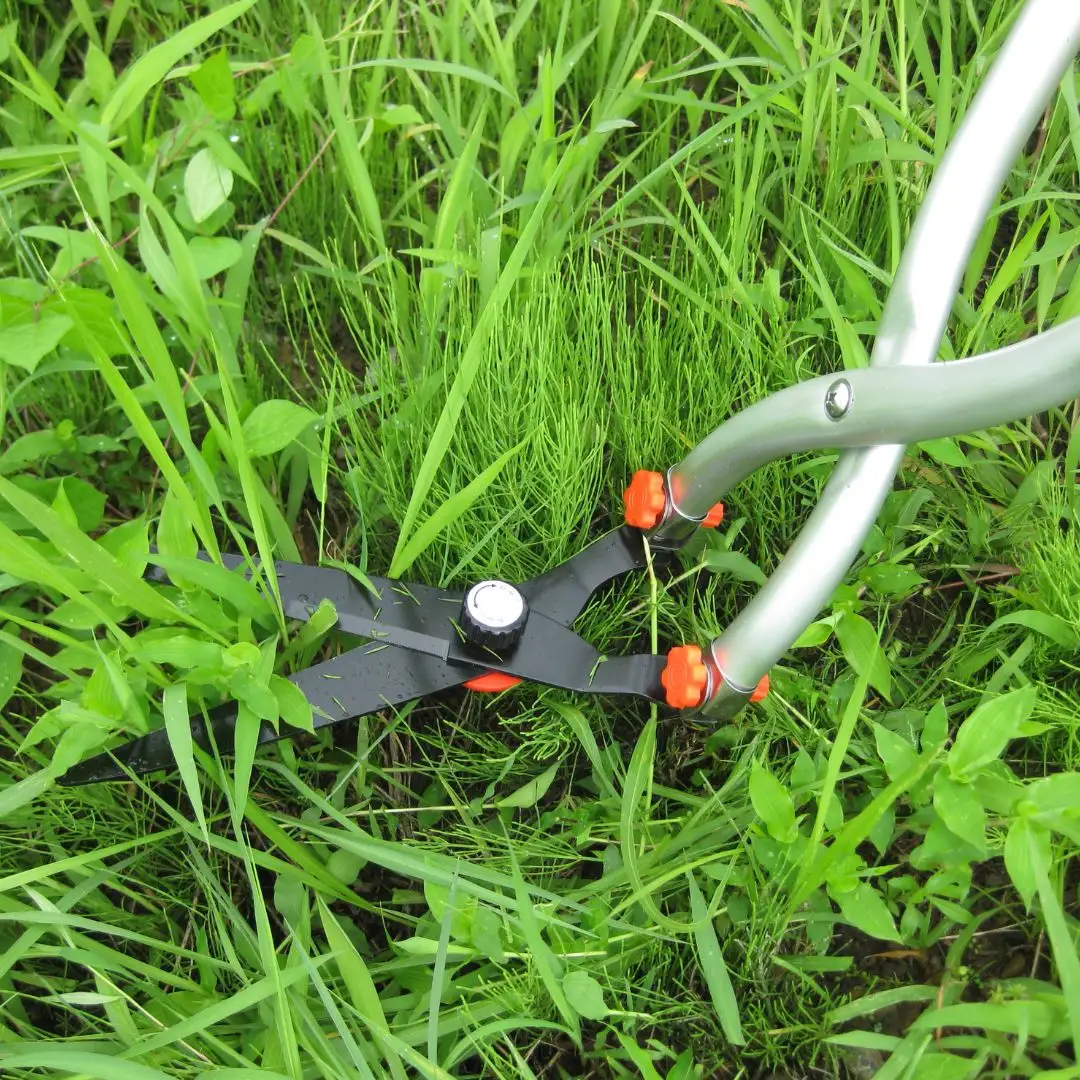 立ち作業用草刈りハサミ 草刈り鋏 ガーデニング 除草 燕三条製 [株式会社オビタス]【013S072】