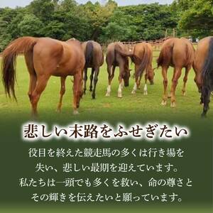 引退馬 余生支援 10,000円コース 返礼品なし 養老馬 競走馬 引退競走馬 馬支援 競馬 馬 うま ウマ 馬支援 動物 あしずりダディー牧場 高知県 土佐清水市【R01530】