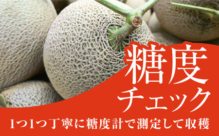 【先行予約】【数量限定50セット】よこすか潮風メロン 大玉4L 2玉セット 計約3kg 【井上農園】 [AKDJ001]