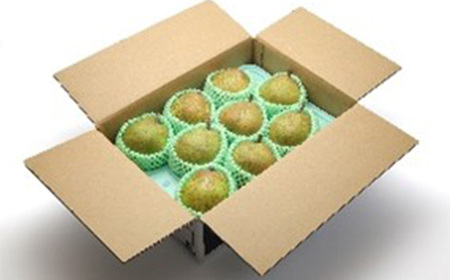 ≪2026年先行予約≫ 山形県産 ラ・フランス 3kg なし ナシ 梨 デザート フルーツ 果物 くだもの 果実 食品 山形県 FSY-2693