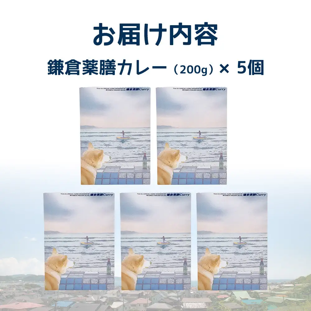 鎌倉薬膳カレー（レトルト）5個セット | カレー 薬膳 薬膳カレー 食品 レトルトカレー 中辛 常備食 人気 おすすめ 時短調理 ストック食品 簡単調理 家庭用 送料無料 神奈川 鎌倉 カレー 