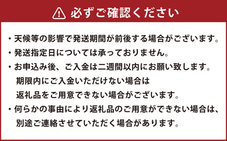 【規格外品】 熊本市産 みかん ご家庭用 15kg 不揃い 蜜柑 ミカン フルーツ 果物 くだもの 柑橘 熊本産 九州産【2026年10月下旬～2027年2月下旬迄発送予定】