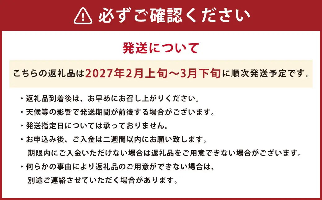 【規格外品】はるか ご家庭用 10kg サイズ不選別 サラダみかん 柑橘 ミカン 果物  【2027年2月上旬～3月下旬迄発送予定】