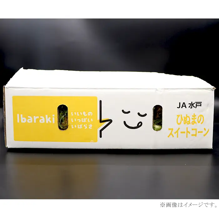 326 とうもろこし ピュアホワイト 約5kg 13本 朝採れ 白 茨城 先行予約 2026年7月頃～発送予定