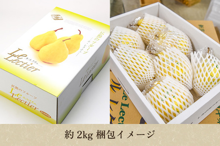 【2026年先行予約】新潟特産 幻の洋梨ル・レクチェ【青秀品】約2kg《11月下旬〜お届け》