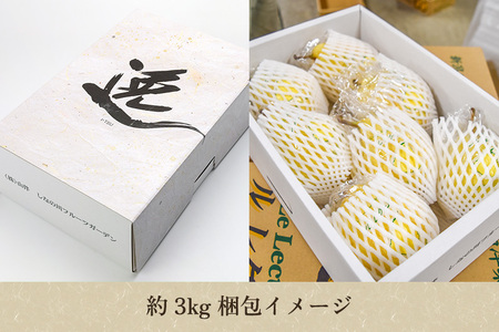 【2026年先行予約】新潟特産 幻の洋梨 ル・レクチェ【青秀品】約3kg《11月下旬〜お届け》