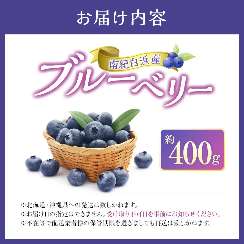 南紀白浜産ブルーベリー 約400g