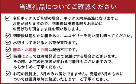 【定期便 11ヶ月】草花ノ定期便 Mサイズ 5～8種類 約8～10本
