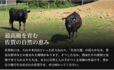 佐賀牛サーロインステーキ150g×2枚【お肉好きに愛される高級部位！パーティやプレゼントに最適！】N24-4