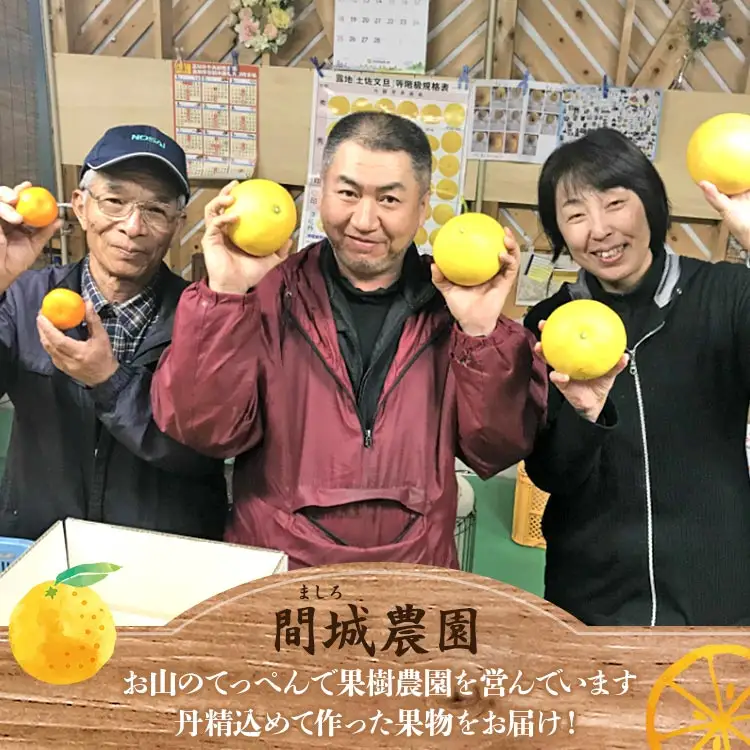 間城農園 土佐文旦10kg (M～Lサイズ) - 期間限定 高知産 土佐文旦 小玉 フルーツ 文旦 ぶんたん ブンタン 果物 文旦 みかん 家庭用 ms-0097