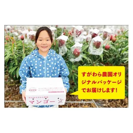 宮古島すがわら農園　【訳あり】完熟マンゴー２kg（3～6玉）（FR004）