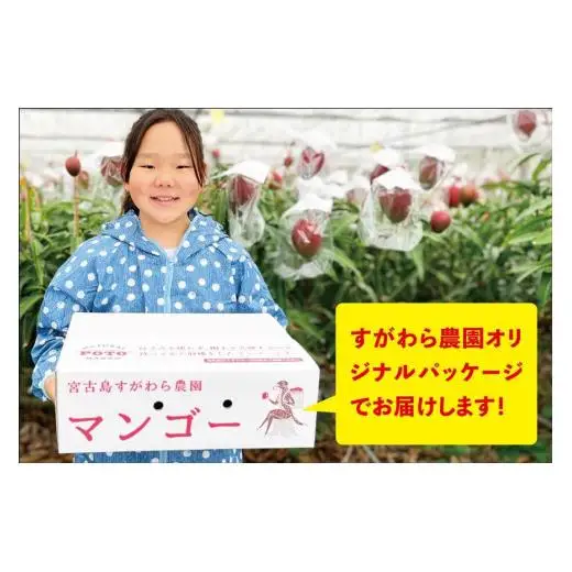 宮古島すがわら農園　【訳あり】完熟マンゴー4kg（8玉以上詰め合わせ）（FR005）
