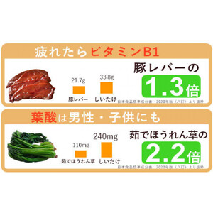 ぬかっち しいたけパウダー 120g 3袋セット