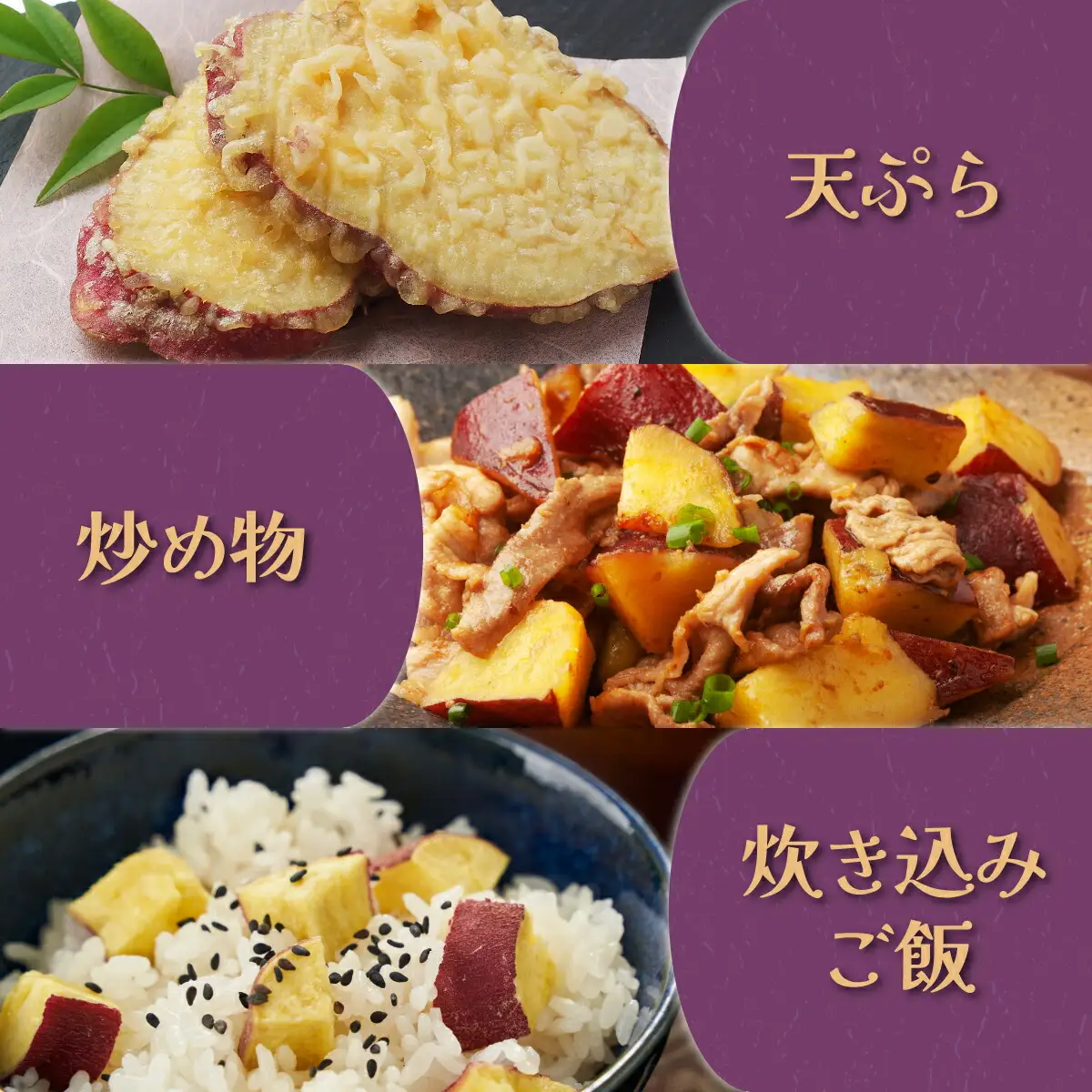 【先行予約】数量限定 掘りたて！あま?い 新さつまいも 紅まさり 2.5kg 芋 さつま芋 野菜 サツマイモ 焼き芋 甘い スイートポテト 旬 やさい 家庭用