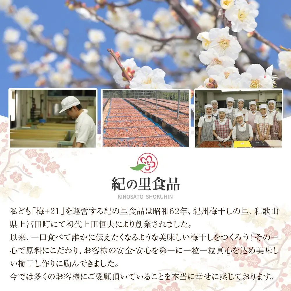 紀州南高梅 蜂蜜つぶれ梅 塩分5％ 1kg (500g×2) ［Kn22］
