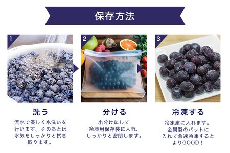 【数量限定・期間限定】 小美玉ブルーベリー 約800g（100g×8） 大粒 小分け 国産 茨城県産 冷蔵 朝採れ 朝どり 朝どれ 生果 ブルーベリー フルーツ 果物 くだもの とれたて 新鮮 ぶるーべりー 17-AG ＜6月下旬～7月中旬発送予定＞