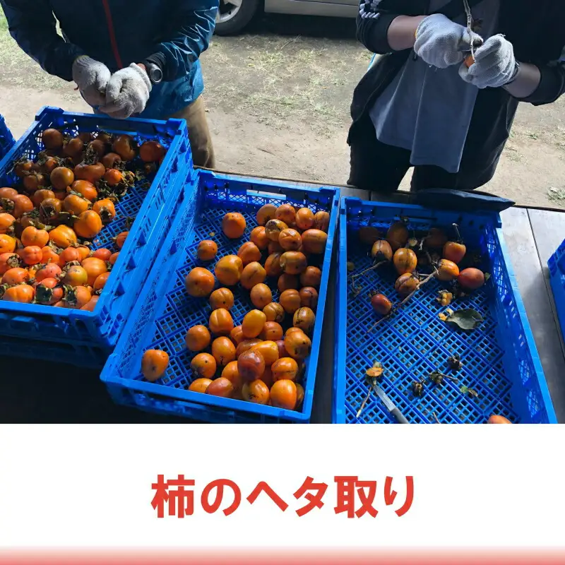 柿100% 放ったら柿酢「鈴」 300ml×2本 PA092_001