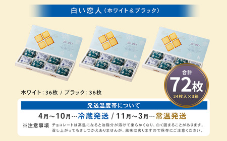 白い恋人 (ホワイト&ブラック) 72枚(24枚入×3箱) ラングドシャ クッキー チョコ お菓子 おやつ 北海道 北広島市