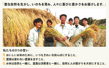 48-7M051【無洗米】新潟県長岡産特別栽培米コシヒカリ5kg