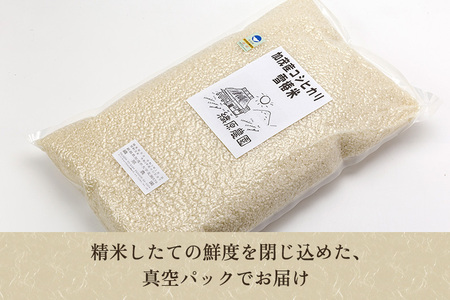 【令和7年産】新潟産コシヒカリ「雪椿米」特別栽培米 精米10kg （5kg×2袋） 白米真空パック