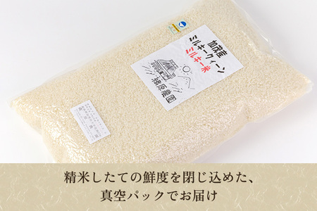 【令和7年産】新潟産ミルキークイーン「ミルキー米」特別栽培米 精米10kg（5kg×2袋） 白米真空パック 加茂市 織原農園 ミルキークイーン 新潟県産ミルキークイーン 米 お米 ミルキークイーン ミルキークイーン ミルキークイーン ミルキークイーン ミルキークイーン