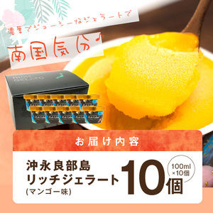 沖永良部島リッチジェラート(マンゴー味)10個セット W009-082u 冷凍 スイーツ