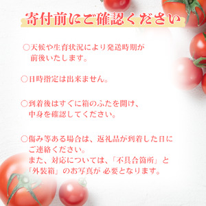三須トマト農園 ミニトマト詰合せ 2.7kg とまと トマト フルーツトマト ミニトマト トマトジュース 野菜 やさい 人気 新鮮 産地直送 甘い 高糖度 完熟 食べやすい リコピン ビタミン ダイエット 美容 美肌 期間限定 限定