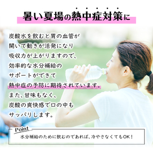 シリカ＆バナジウム強炭酸水PET500ml×1箱(24本入)友桝飲料  炭酸水 