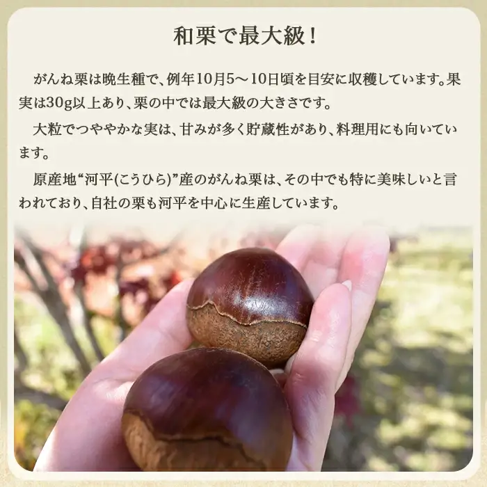 がんね栗ロール 2本セット (360g×2本入り)【がんね栗の里】