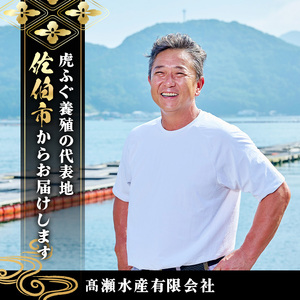 虎ふぐ刺身(4-5人前)ふぐ フグ トラフグ とらふぐ あら 刺身 皮 ひれ 薬味付き【GP004】【高瀬水産】