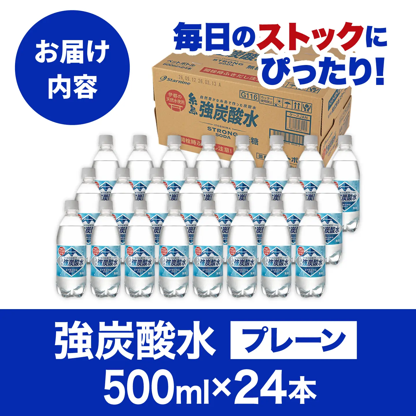 強炭酸水 プレーン 500ml × 24本 炭酸飲料  [ARM002]