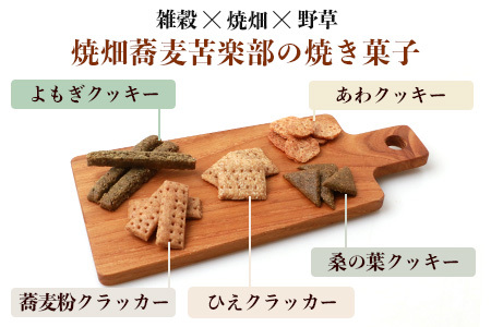 【世界農業遺産の産物】焼畑農家がつくった《選べる！》お茶と焼き菓子のセット YS-60