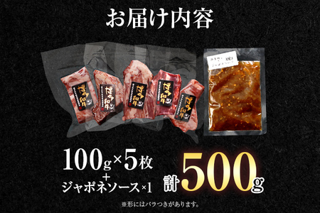 博多和牛 ヒレステーキ　自家製ジャポネソース付 博多和牛 ヒレ ステーキ ソース付き 福岡 グルメ お取り寄せ おかず