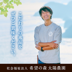 ＜訳あり＞  燻製ナッツ 詰め合わせ (おまかせ5袋) セット 透明真空パック ミックスナッツ ピーナッツ 加工品 おやつ 常温 保存 防災 大分県 佐伯市【FD06】【希望の森 太陽農園】