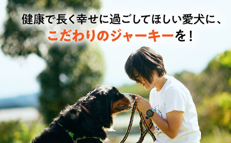 【国産】 ペットフード 犬用 鹿肉 ジャーキー 小袋 5点 セット  多治見市 / こなき屋 愛犬 ドッグフード ペット [TEM001]