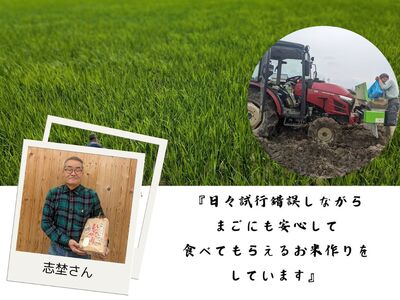 ひのひかり 白米 10kg 奈良県 三宅町 ヒノヒカリ 堆肥 ミネラル栽培 志埜米穀店